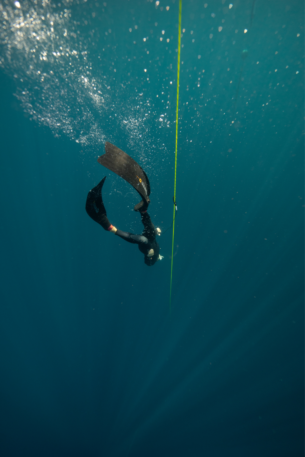 Beginner Freediving Course Evolution Freediving